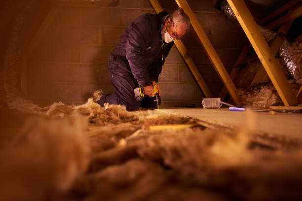 Best Insulation Removal  in Conning Towers Nautilus Park, CT