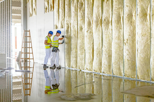 Best Crawl Space Insulation  in Conning Towers Nautilus Park, CT